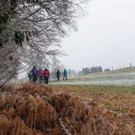 2025-12-17 Weihnachtswanderung (1)